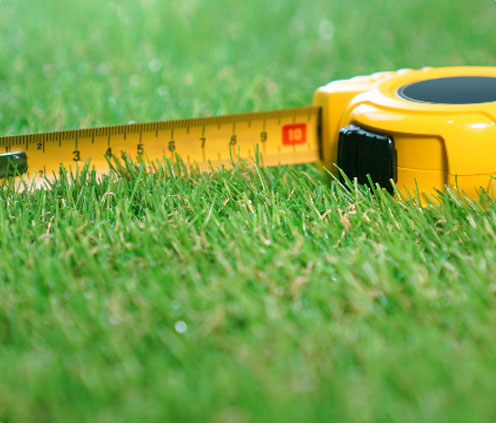 Turf-Measurements