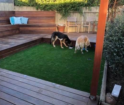pets-img