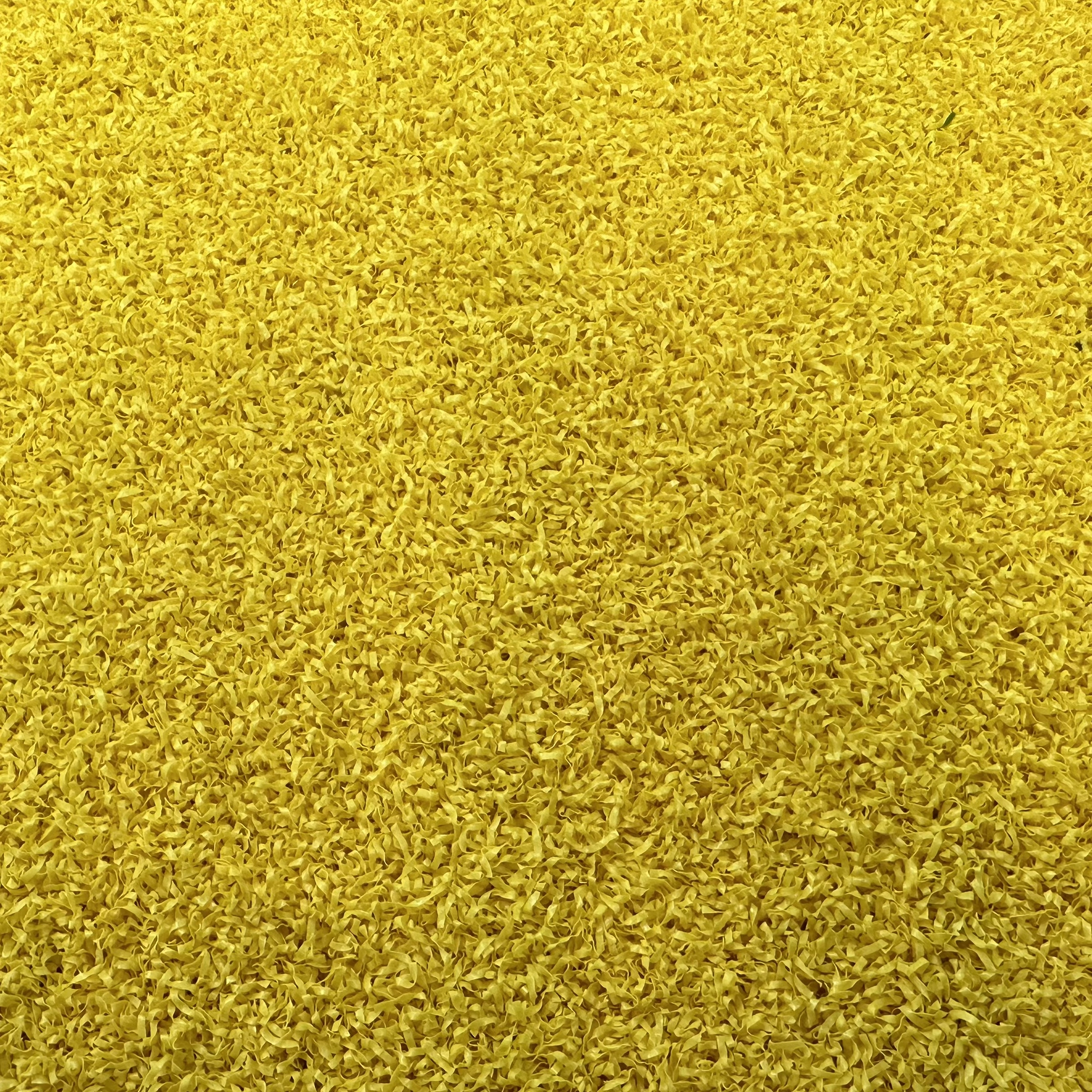 ADVANTAGE YELLOW