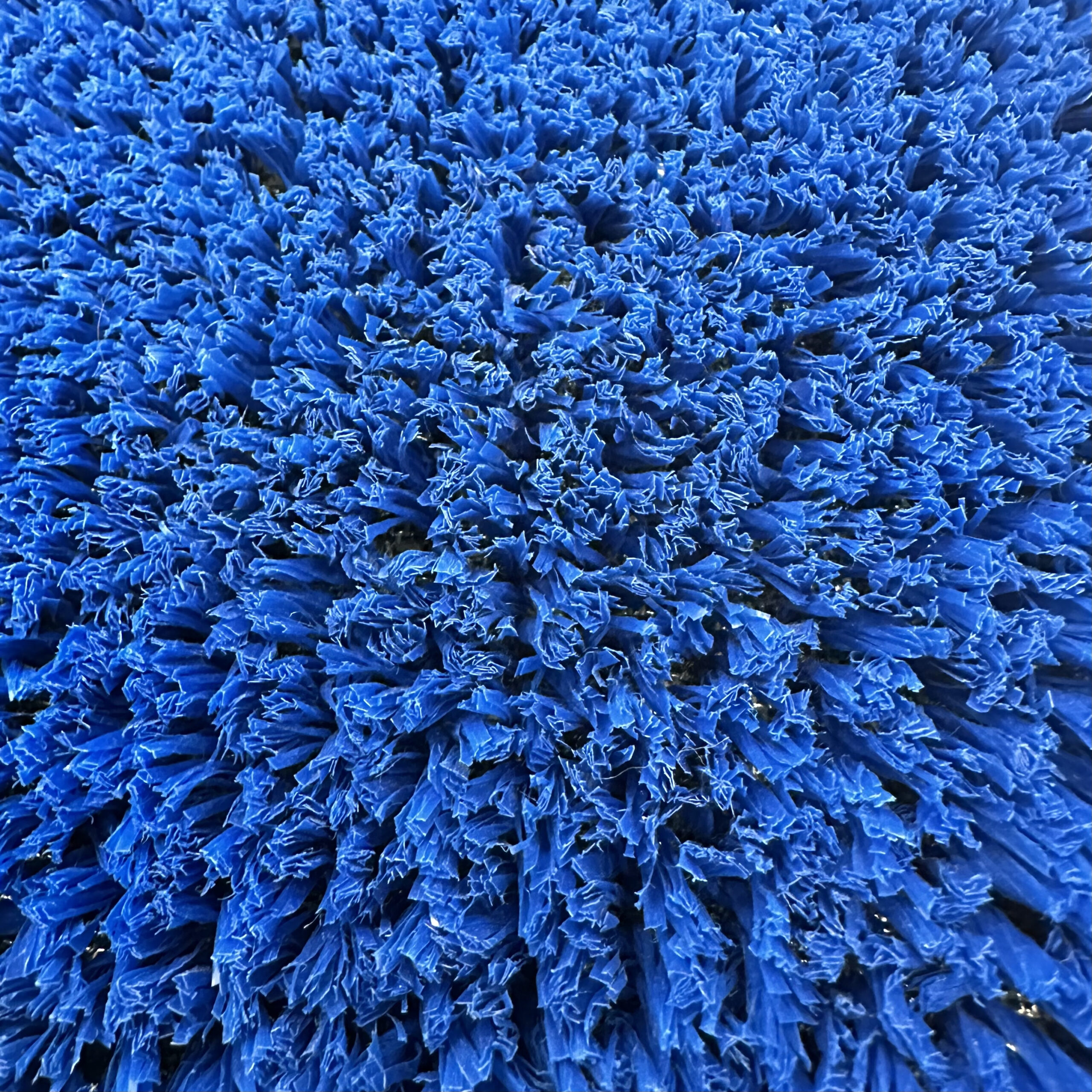 T1000 BLUE